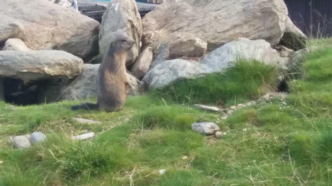 Ferienwohnungen Hochzillertal Kaltenbach Kültér fotó
